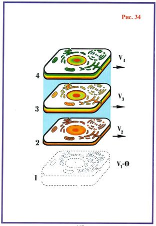 Николай Левашов - Последнее обращение к человечеству