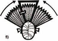 Вспомни всё: секреты суперпамяти....