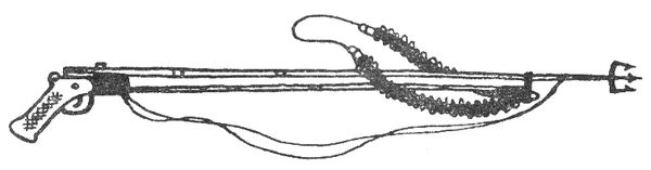 Святослав Сахарнов - Путешествие на "Тригле"