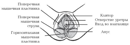 Л. Бинг - Секреты любви. Даосская практика для женщин и мужчин