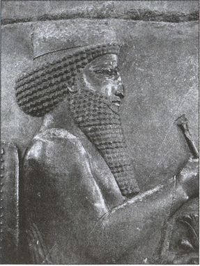 Сергей Алексеев, Александр Инков - Скифы: исчезнувшие владыки степей