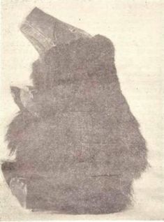 В. Арсеньев - ЛЕСНЫЕ ЛЮДИ УДЭХЕЙЦЫ