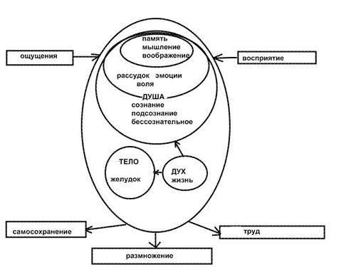 Иван Тяпкин - Тело, Душа, Дух