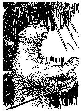 Николай Трублаини - "Лахтак". Повесть