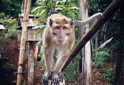 Григорий Кубатьян - Жизнь в дороге