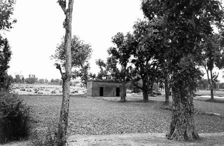 Дэвид Годмен - Ничто никогда не случалось. Жизнь и учение Пападжи (Пунджи). Книга 1