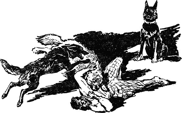 Яков Волчек - Проводник СРС