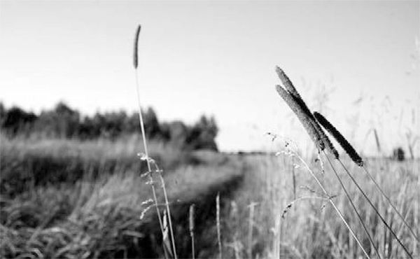 Александр Логунов - Мудрые мысли о дружбе