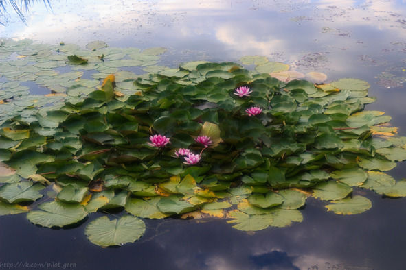 Гермина Нагаева - Минск. Самостоятельные путешествия