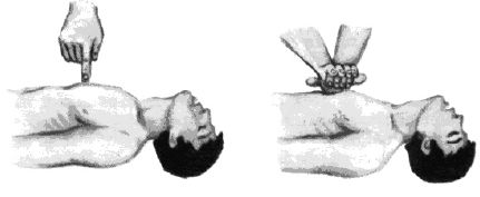 Сергей Вольхин, Марина Петрова и др. - Охрана труда на производстве и в учебном...