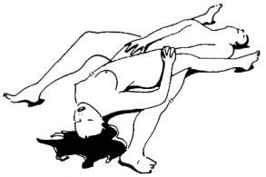 Наташа Майер - Камасутра