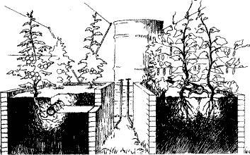 Николай Курдюмов - Умный огород