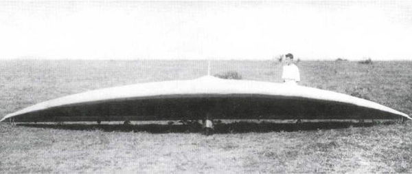 Дмитрий Соболев - Столетняя история "летающего крыла"