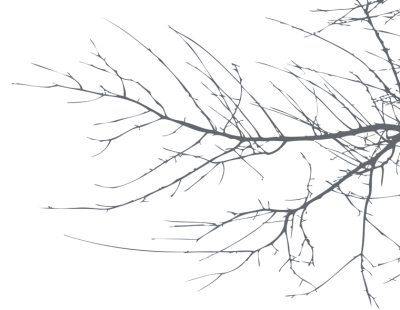 Марина Паншина - Сердце на ладони