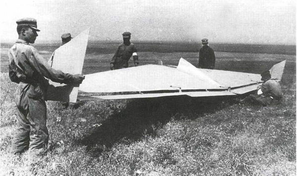 Дмитрий Соболев - Столетняя история "летающего крыла"