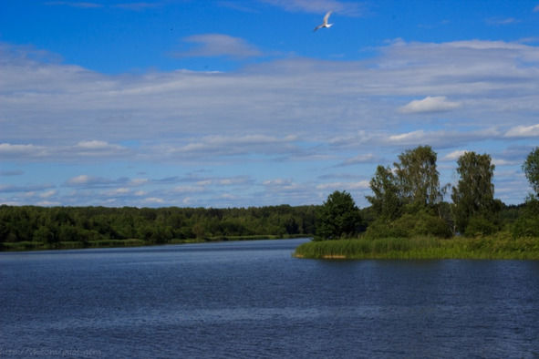 Гермина Нагаева - Минск. Самостоятельные путешествия