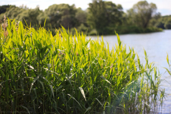 Гермина Нагаева - Минск. Самостоятельные путешествия