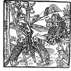 Средневековая литература - История хитрого плута, лиса Рейнарда