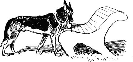 Яков Волчек - Проводник СРС