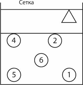 Евгений Фомин, Лариса Булыкина - Волейбол. Начальное обучение