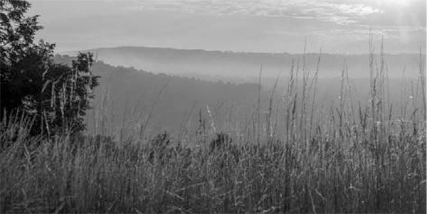 Александр Логунов - Мудрые мысли о дружбе