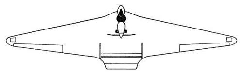 Столетняя история "летающего крыла"