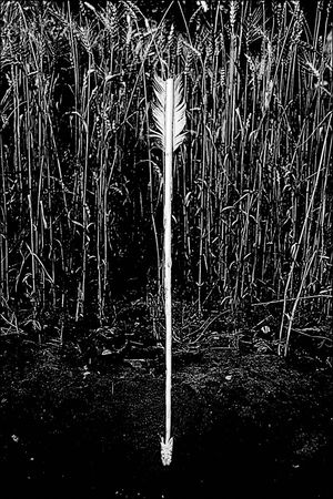 Анна Бену - Танцующие с волками. Символизм сказок и мифов мира