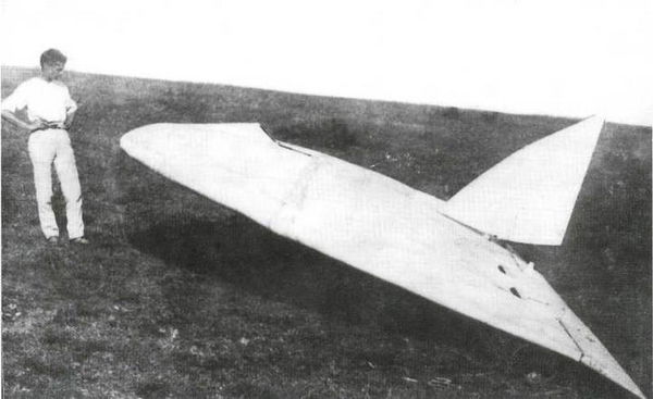 Дмитрий Соболев - Столетняя история "летающего крыла"