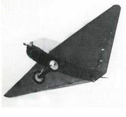 Дмитрий Соболев - Столетняя история "летающего крыла"