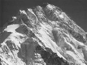 Екатерина Горбачева, Кристина Ляхова - Рекорды в мире природы