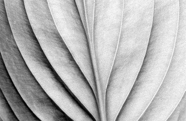 Александр Логунов - Мудрые мысли о дружбе