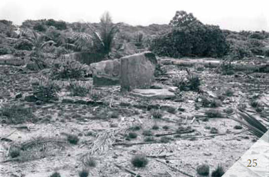 Эрих Дэникен - Доказательства существования богов. Более 200 сенсационных...