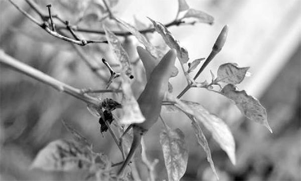 Александр Логунов - Мудрые мысли о дружбе