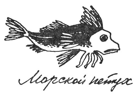 Святослав Сахарнов - Путешествие на "Тригле"