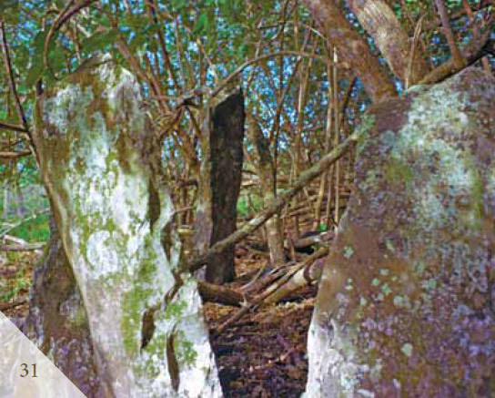 Эрих Дэникен - Доказательства существования богов. Более 200 сенсационных...