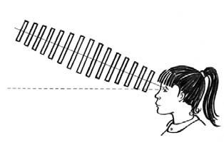 Станислав Мюллер - Вспомни всё: секреты суперпамяти. Книга-тренажер