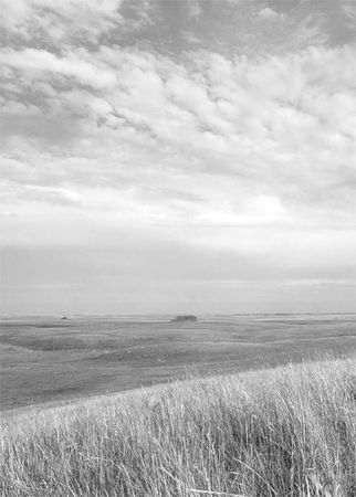 Александр Логунов - Мудрые мысли о дружбе