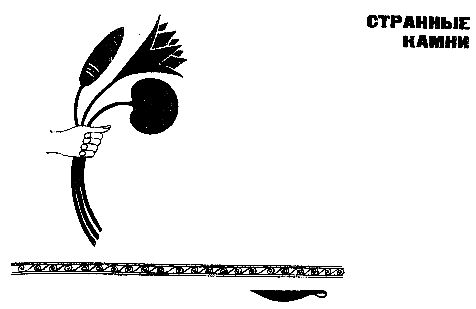 Карл Брукнер - Золотой фараон