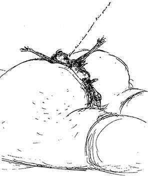 Борис Жердин - Ничего кроме правды