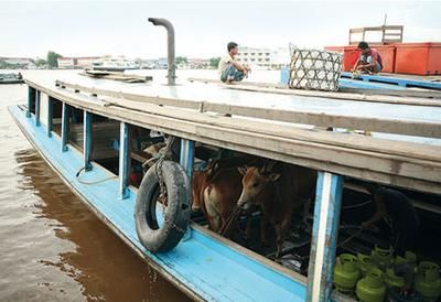 Григорий Кубатьян - Жизнь в дороге