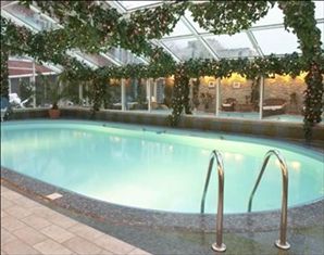 Алексей Григорьев - SPA, баня, бассейн