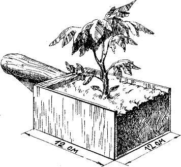 Николай Курдюмов - Умный огород