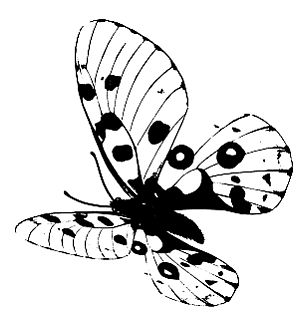 Мюррей Стайн - Трансформация. Проявление самости