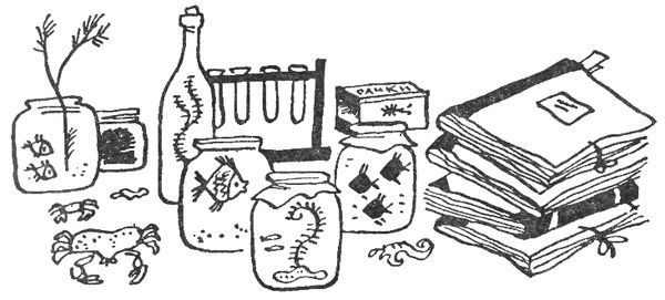 Святослав Сахарнов - Путешествие на "Тригле"