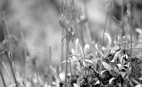 Александр Логунов - Мудрые мысли о дружбе