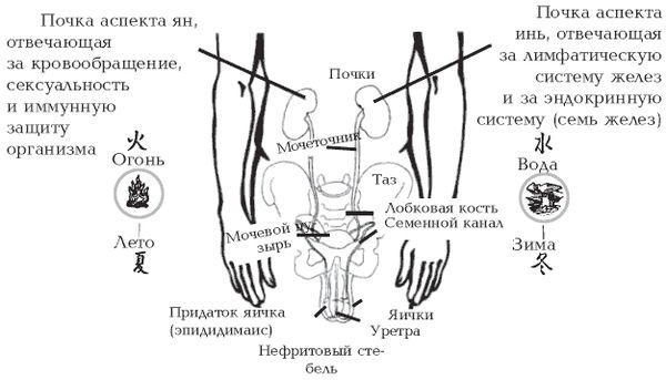 Л. Бинг - Секреты любви. Даосская практика для женщин и мужчин
