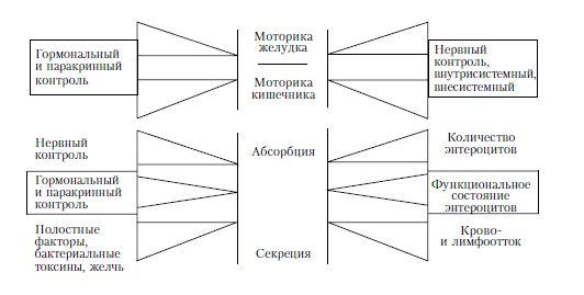 Коллектив авторов - Диетология: Руководство