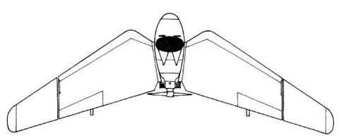 Дмитрий Соболев - Столетняя история "летающего крыла"