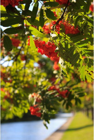 Гермина Нагаева - Минск. Самостоятельные путешествия