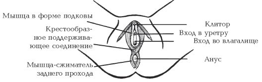 Л. Бинг - Секреты любви. Даосская практика для женщин и мужчин